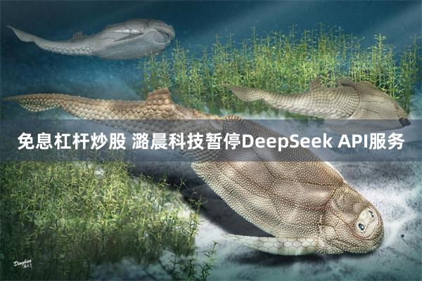 免息杠杆炒股 潞晨科技暂停DeepSeek API服务