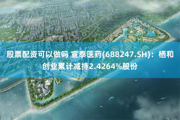 股票配资可以做吗 宣泰医药(688247.SH)：栖和创业累计减持2.4264%股份