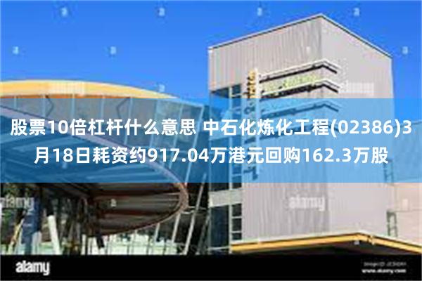股票10倍杠杆什么意思 中石化炼化工程(02386)3月18日耗资约917.04万港元回购162.3万股