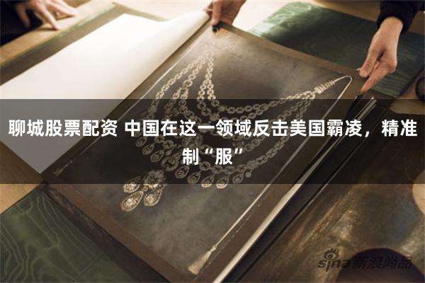 聊城股票配资 中国在这一领域反击美国霸凌，精准制“服”