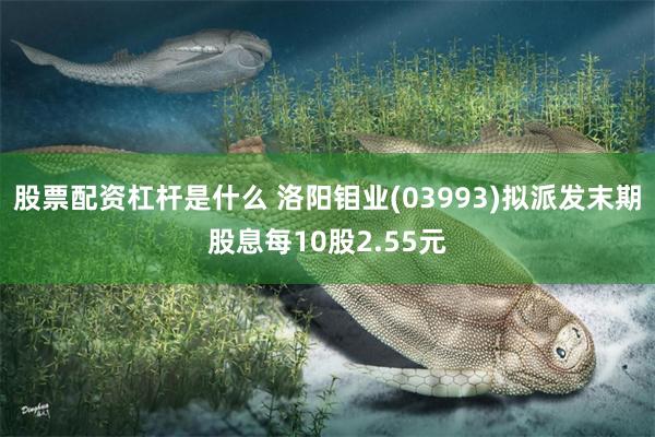 股票配资杠杆是什么 洛阳钼业(03993)拟派发末期股息每10股2.55元