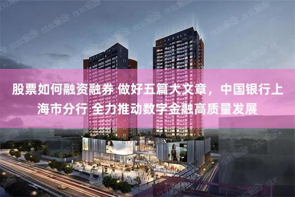 股票如何融资融券 做好五篇大文章，中国银行上海市分行 全力推动数字金融高质量发展