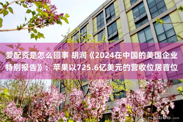 爱配资是怎么回事 胡润《2024在中国的美国企业特别报告》：苹果以725.6亿美元的营收位居首位