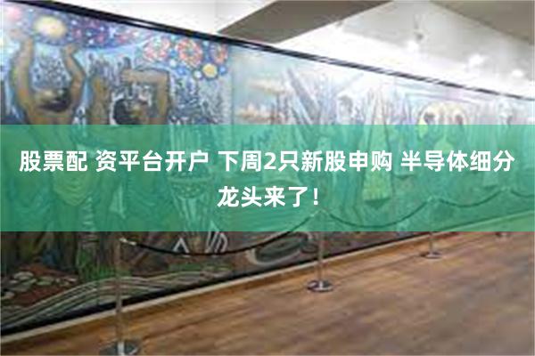 股票配 资平台开户 下周2只新股申购 半导体细分龙头来了！