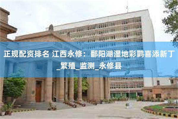 正规配资排名 江西永修：鄱阳湖湿地彩鹮喜添新丁_繁殖_监测_永修县