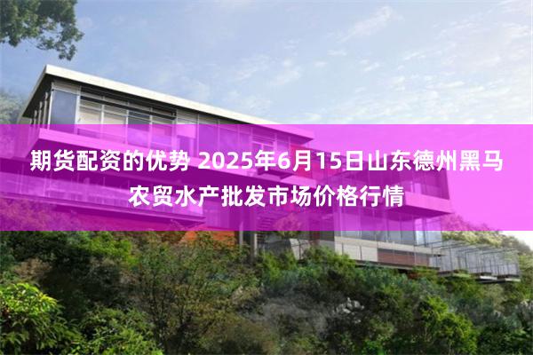 期货配资的优势 2025年6月15日山东德州黑马农贸水产批发市场价格行情