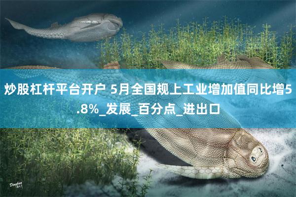 炒股杠杆平台开户 5月全国规上工业增加值同比增5.8%_发展_百分点_进出口