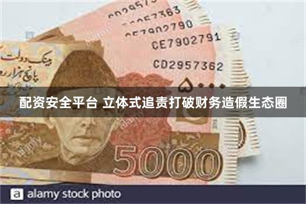 配资安全平台 立体式追责打破财务造假生态圈
