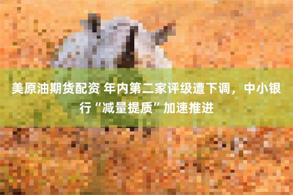 美原油期货配资 年内第二家评级遭下调，中小银行“减量提质”加速推进