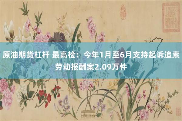 原油期货杠杆 最高检：今年1月至6月支持起诉追索劳动报酬案2.09万件