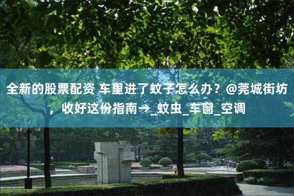 全新的股票配资 车里进了蚊子怎么办？@莞城街坊，收好这份指南→_蚊虫_车窗_空调