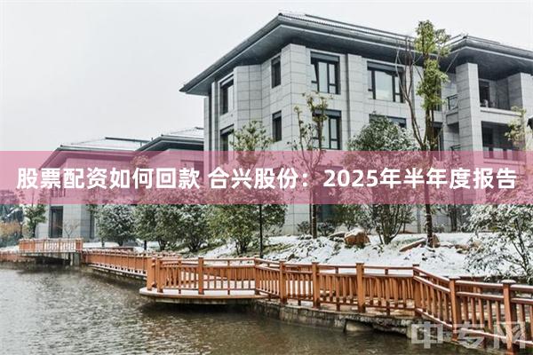 股票配资如何回款 合兴股份：2025年半年度报告