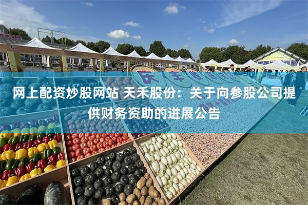 网上配资炒股网站 天禾股份：关于向参股公司提供财务资助的进展公告