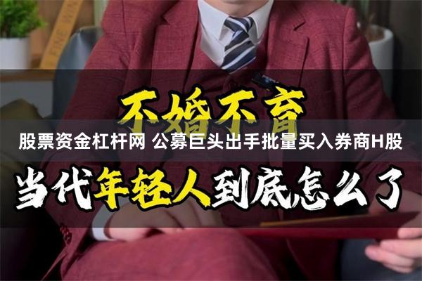 股票资金杠杆网 公募巨头出手批量买入券商H股
